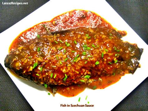  Rizhao Seetaowu: Eine himmlische Symphonie aus knusprigem Fisch und würziger Szechuan-Sauce!